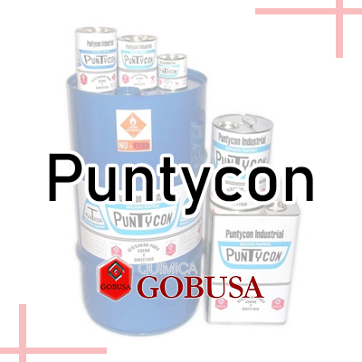 PUNTYCON